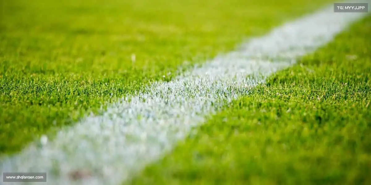 我们的品牌价值